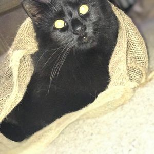 Meet your Posher, Jasmine